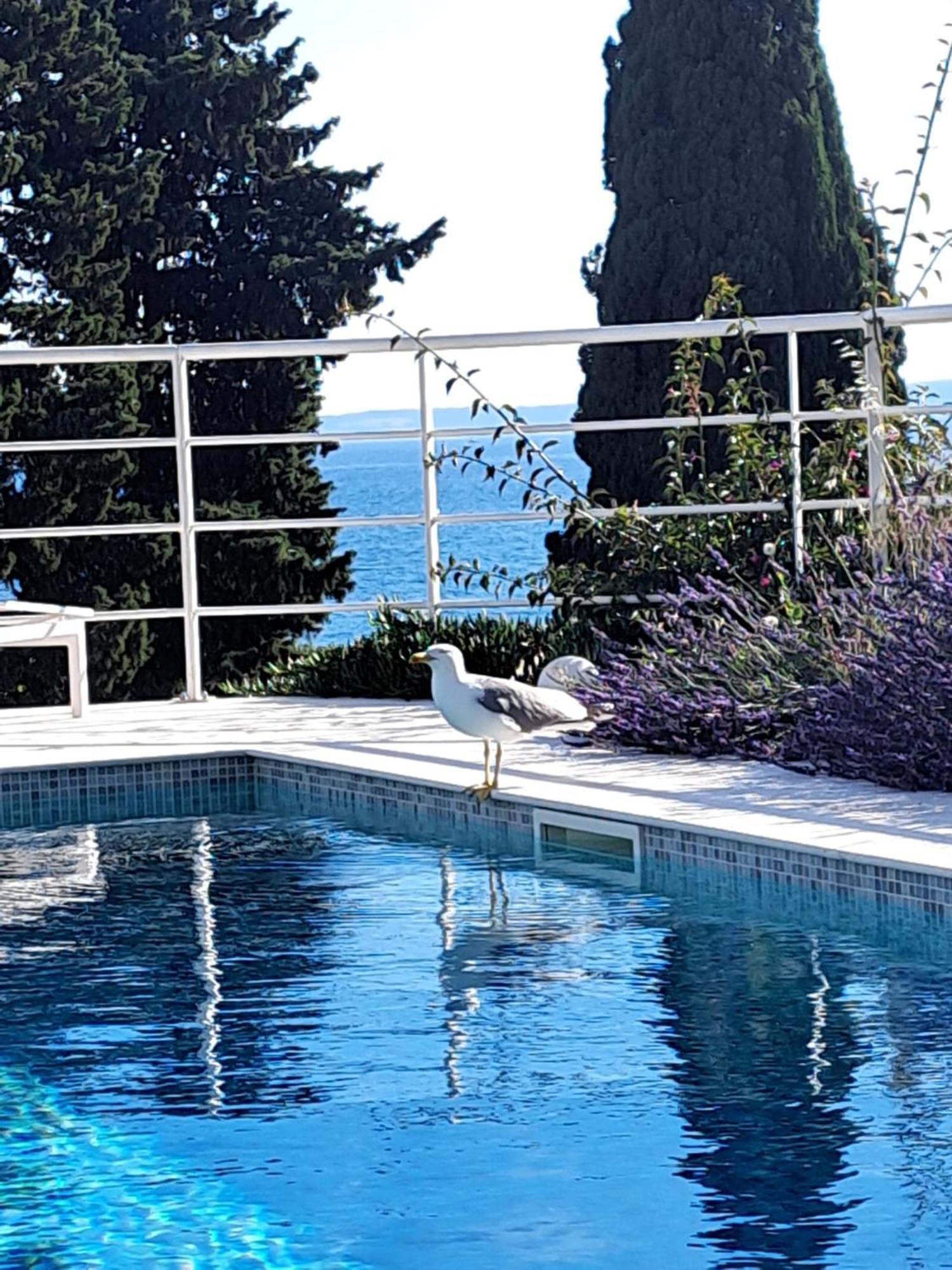 Apartment With Private Pool Split Exterior foto